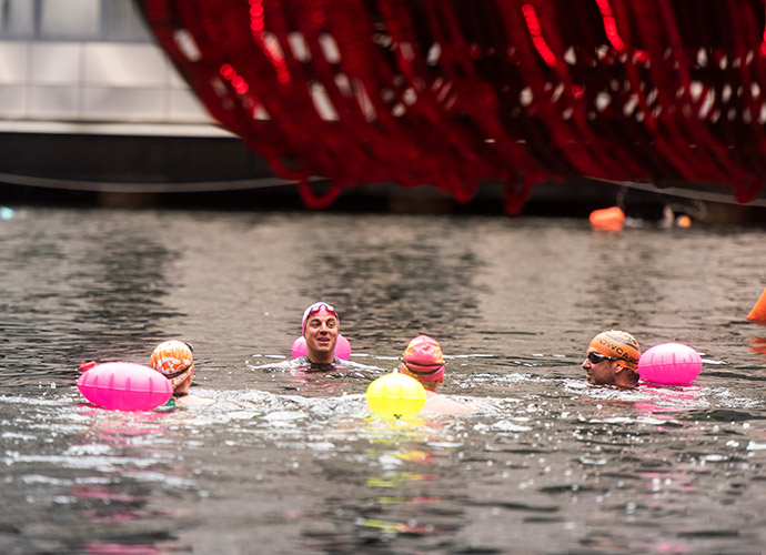 Swimmers enjoying open water swimming in Middle Dock, Canary Wharf