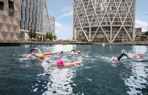 Open Water Swimming in Canary Wharf