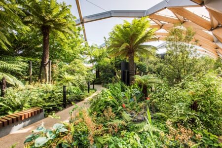 Crossrail Place Roof Garden