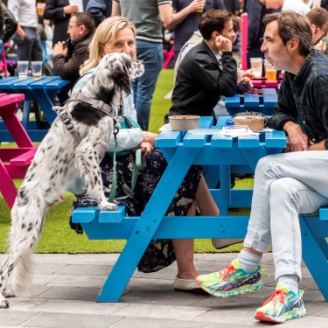 Discover the Dog Friendly Restaurants of Canary Wharf