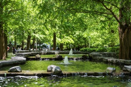 Fountains in Jubilee Park