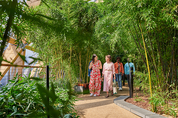 People walking through Crossrail Place Roof Garden