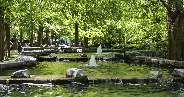 Green Flag Award for Jubilee Park