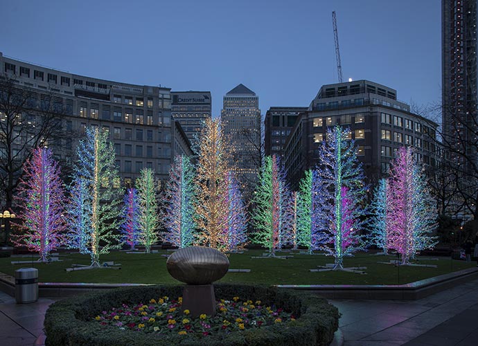 Colourful Christmas trees