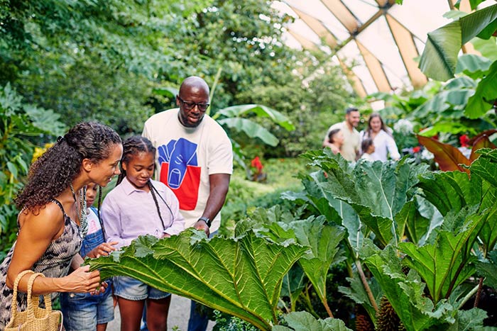 A family exploring various plants in a greenhouse, surrounded by lush greenery and colorful flowers. 