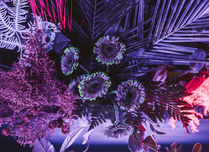 world’s first Bioluminescent Flower Parlour by Bompas & Parr