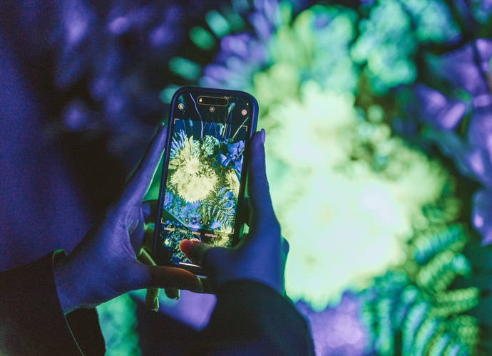 Taking picture of stunning glow-in the-dark flower