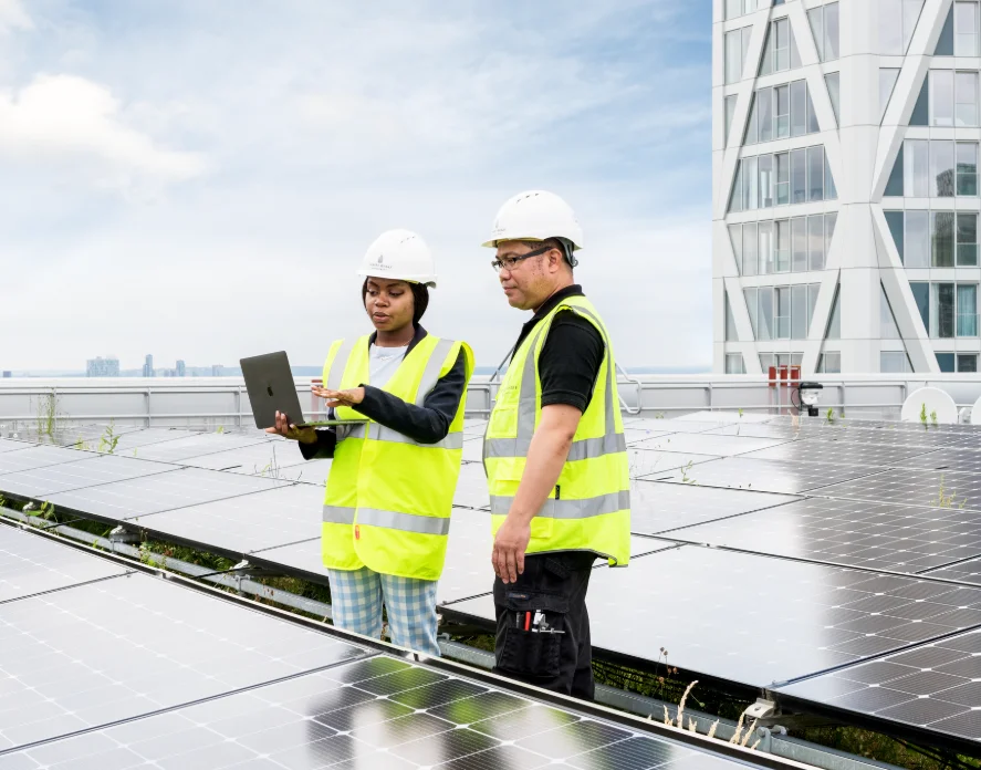 people in hi vis jackets on a roof with solar panels looking at a laptop