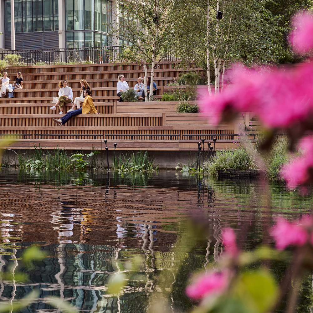 people sitting on benches by water with pink flowers in frame