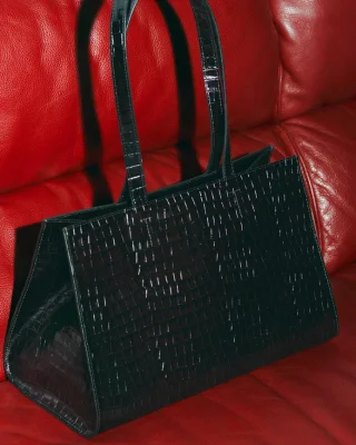 Handbag on Red Background